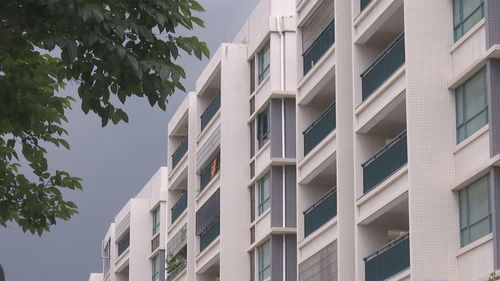 新房变“水帘洞”还掉灰，业主索赔路在何方？